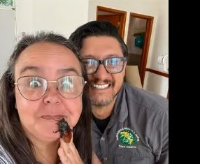 Opacidad en solicitudes de donativos debilita la causa animal